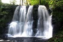 waterfalls galore